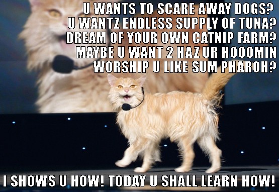 life coach cat meme for mobile casino